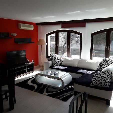 Supilova Apartments 贝尔格莱德 外观 照片
