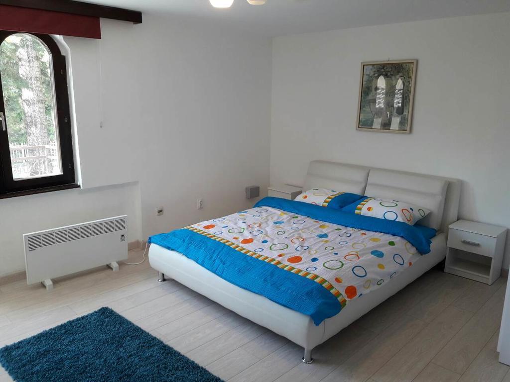 Supilova Apartments 贝尔格莱德 外观 照片